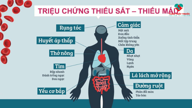 dekabon-ferbe
